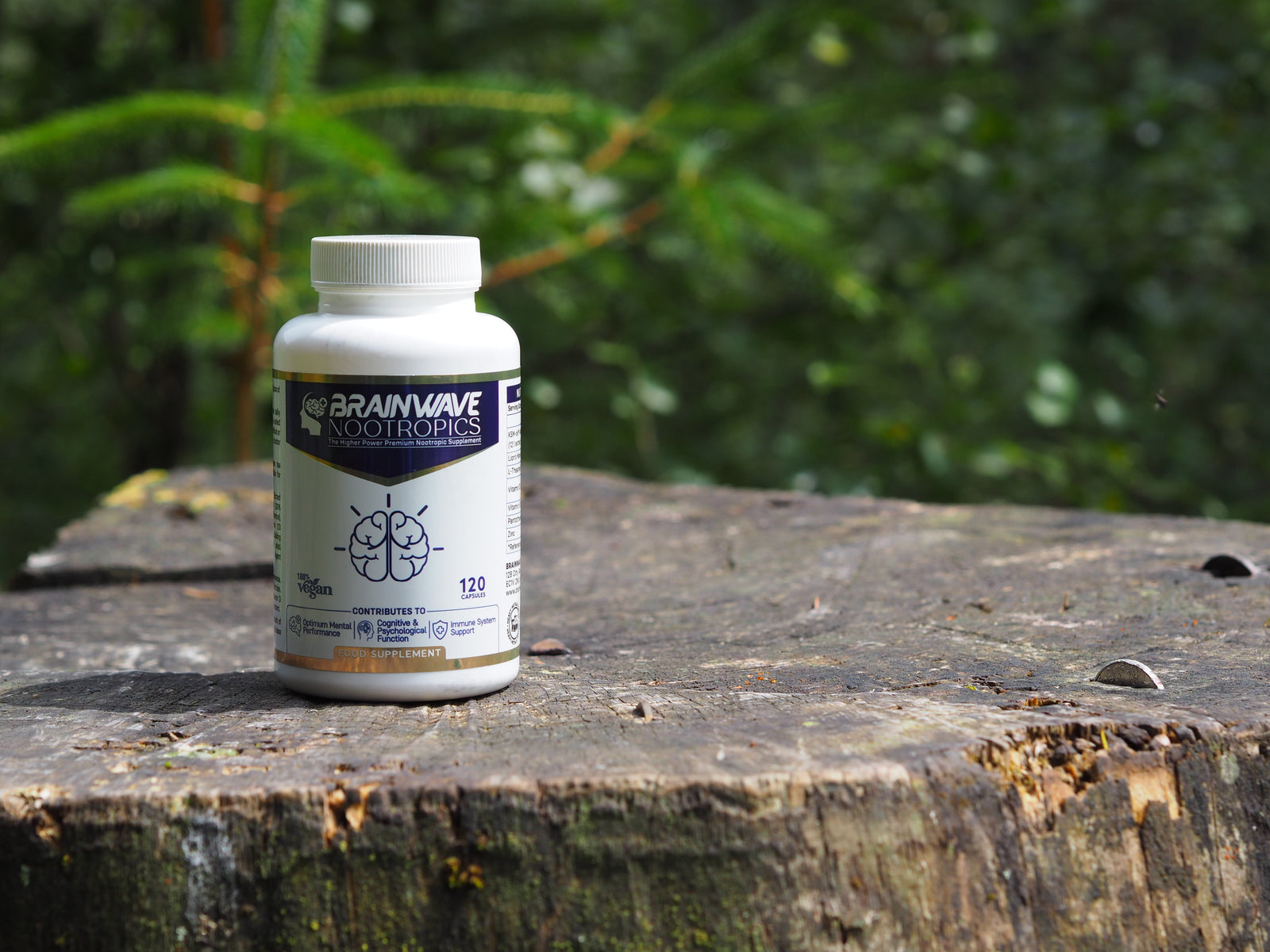 The Science Behind Adaptogenic Herbs for Stress Management and Cognitive Support