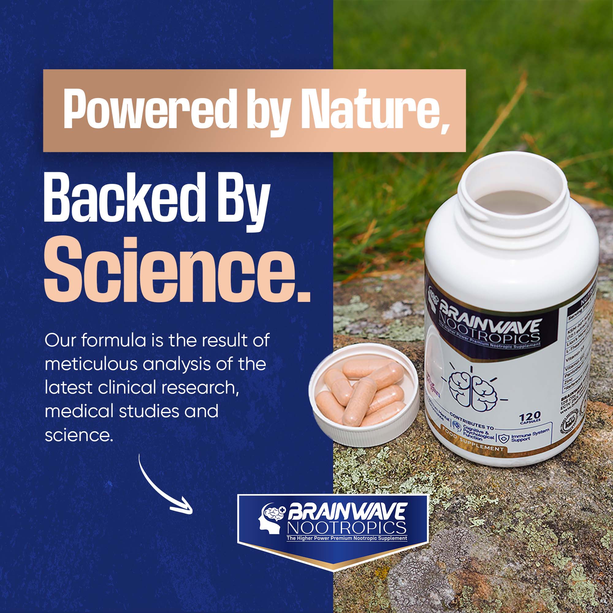 Brainwave Nootropics® | High Strength Nootropic & Adaptogen Brain Function & Immune System Support Complex | Ashwagandha 1000mg - Lion's Mane 1000mg - L-Theanine 300mg - Vitamins D3, B5, B12, Zinc