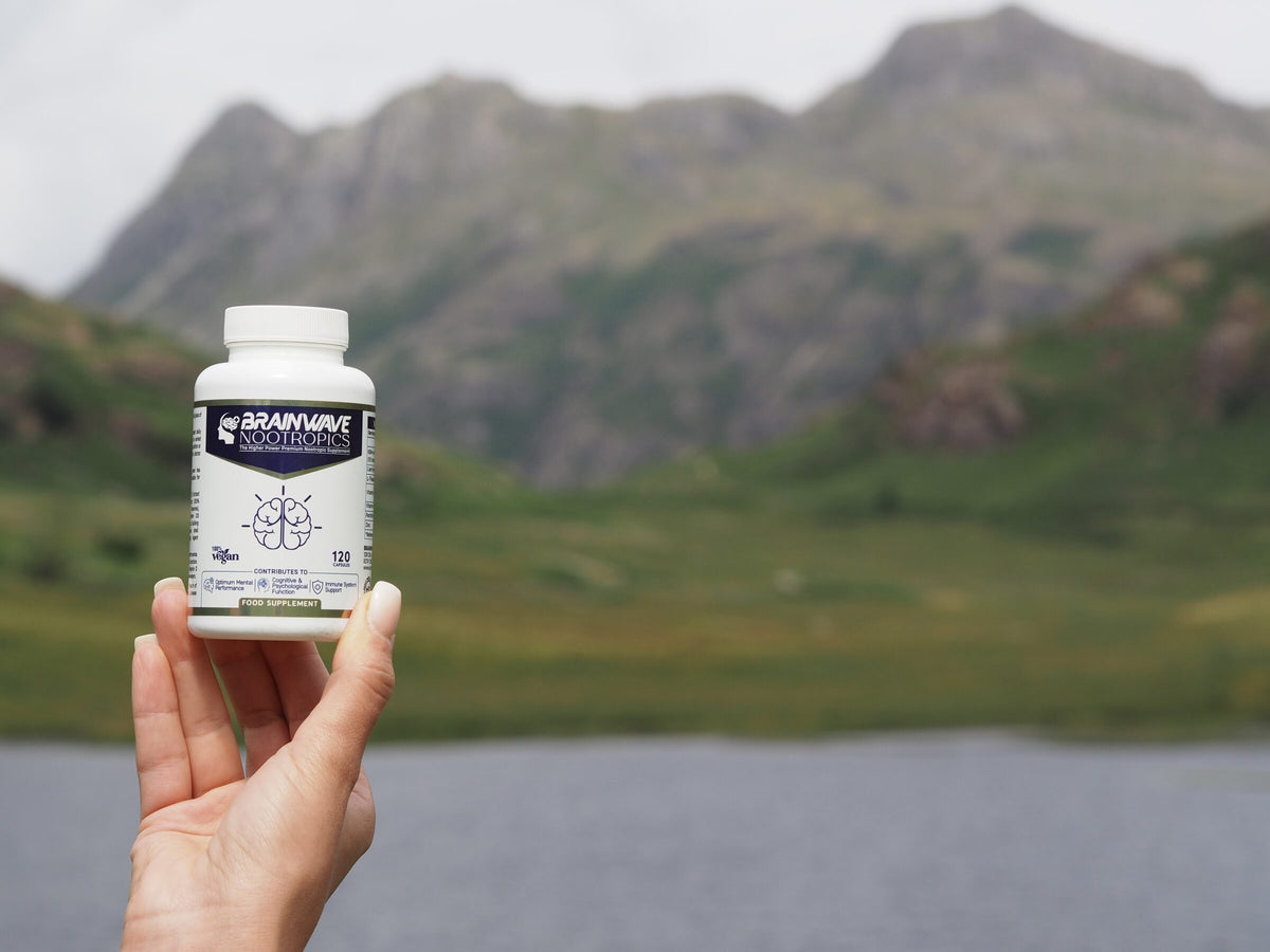 Brainwave Nootropics bottle held against a mountain view