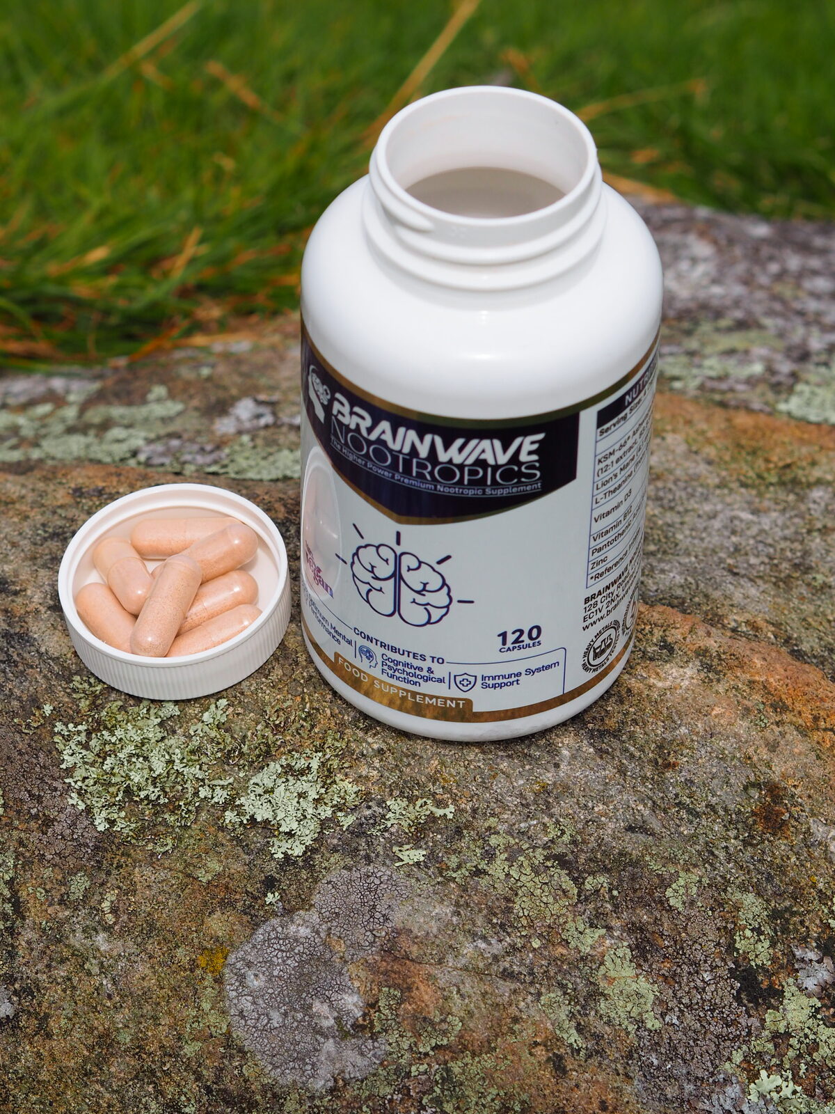 Brainwave Nootropics bottle on a rock